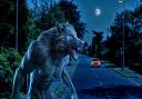 Haunted Wirral – the Greasby Werewolf