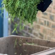 Wirral garden waste subscriptions now open
