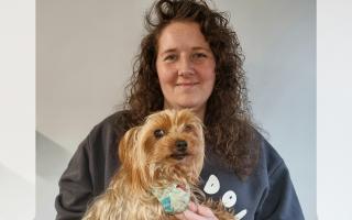 Wirral animal rescue centre issues appeal to save 50 dogs after eviction notice