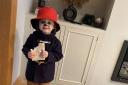 World Book Day 2024: We'd love to see your colourful costumes (Reign Hughes from Little Learners was Paddington Bear last year)