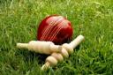 How our cricket teams have started the 2024 season