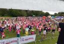 Race For Life preparation in Birkenhead Park last year
