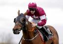 Tiger Roll, who is among 107 entries for the Randox Grand National at Aintree on April 9 (PA)