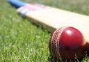 Cheshire Cricket League - Old Parkonians seal Division One survival
