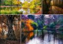Amazing autumnal vibes caught on camera in Wirral's parks