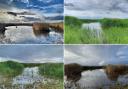 RSPB Burton Mere wetlands through the seasons