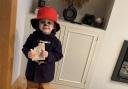 World Book Day 2024: We'd love to see your colourful costumes (Reign Hughes from Little Learners was Paddington Bear last year)