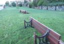 Council issues update about New Brighton memorial benches uprooted during storm