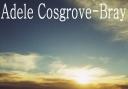 Dark Tides, the new ebook by Adele Cosgrove-Bray