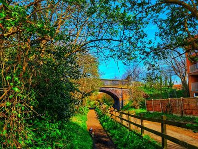 Wirral Way by Mandy Williams
