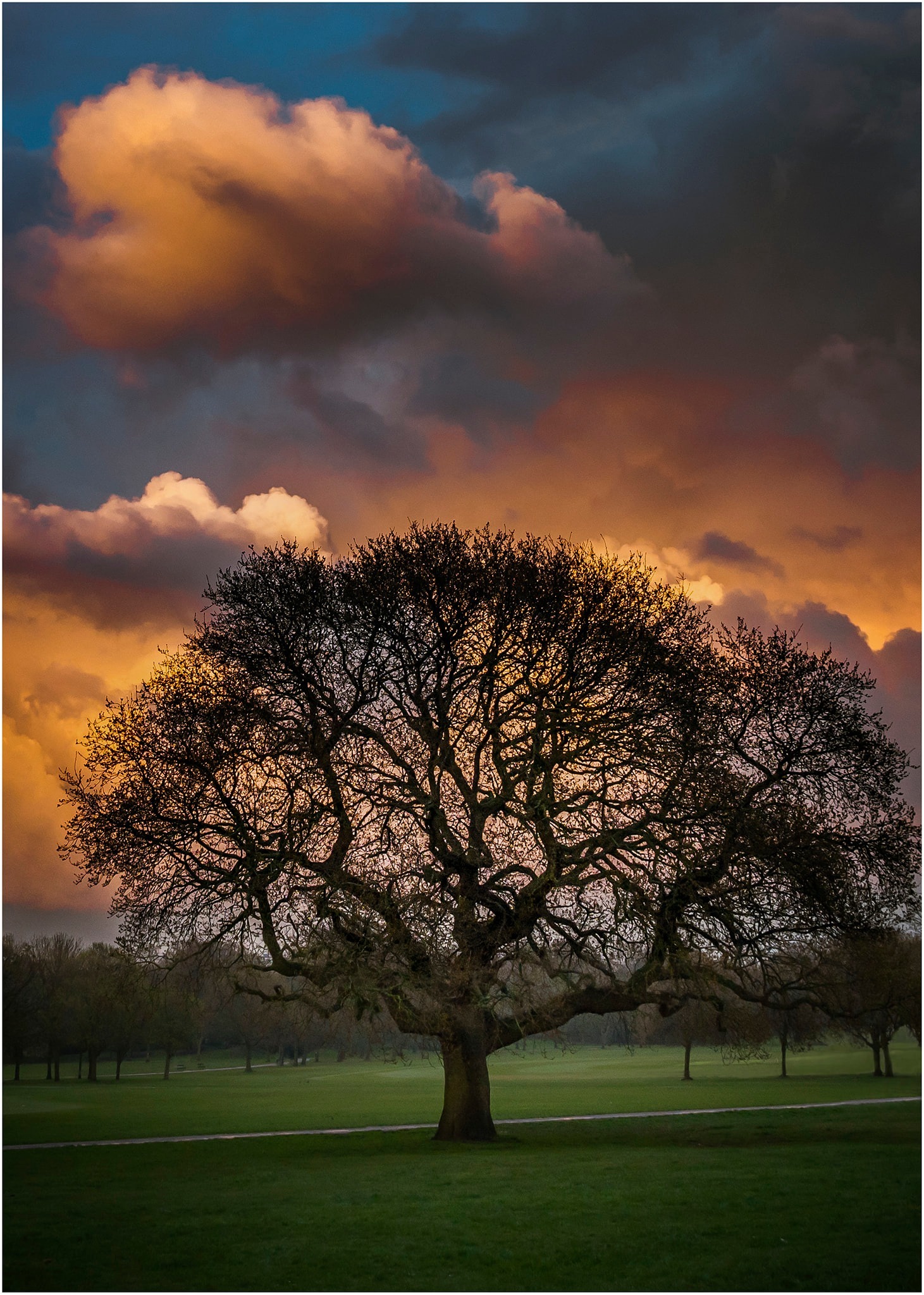 Birkenhead Park by Jane Kilbride
