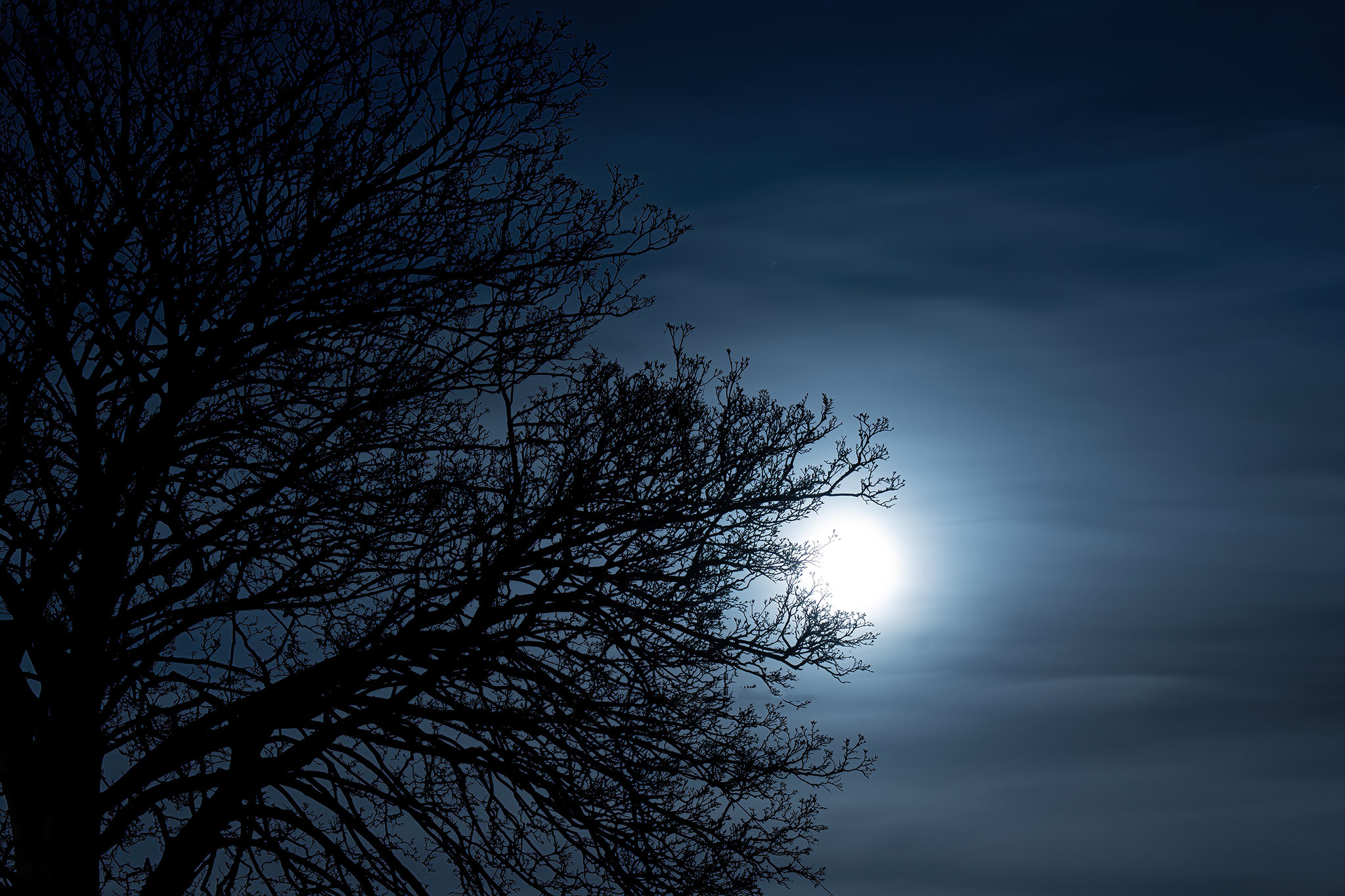By the light of the blue moon in Liscard by John Brooks