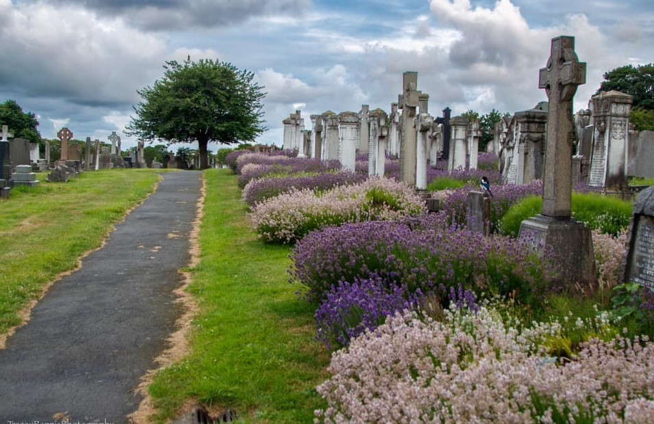 Wallasey cemetery by Tracey Rennie