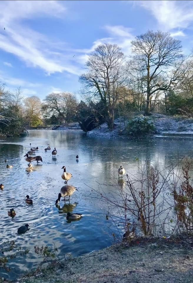 Winter at Birkenhead Park by Beryl Cooke