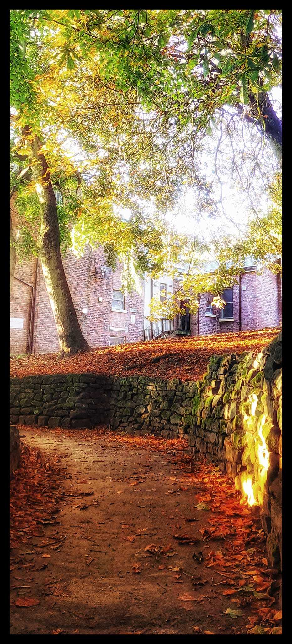 Vale Park in the autumn sunshine by Paul Neish