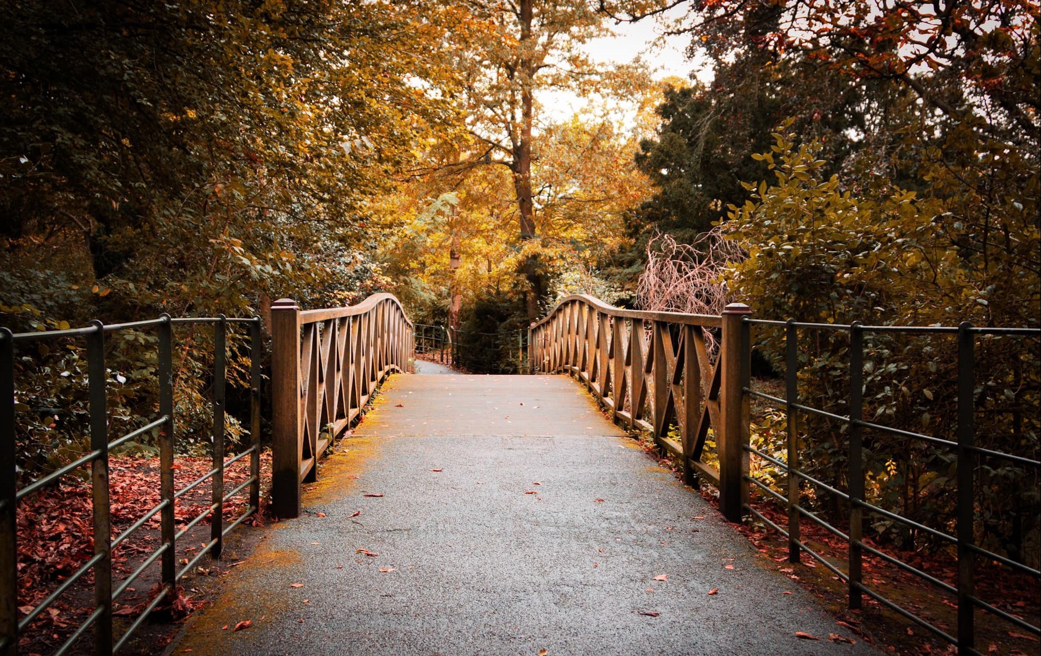 Birkenhead Park bridge by Tracey Rennie