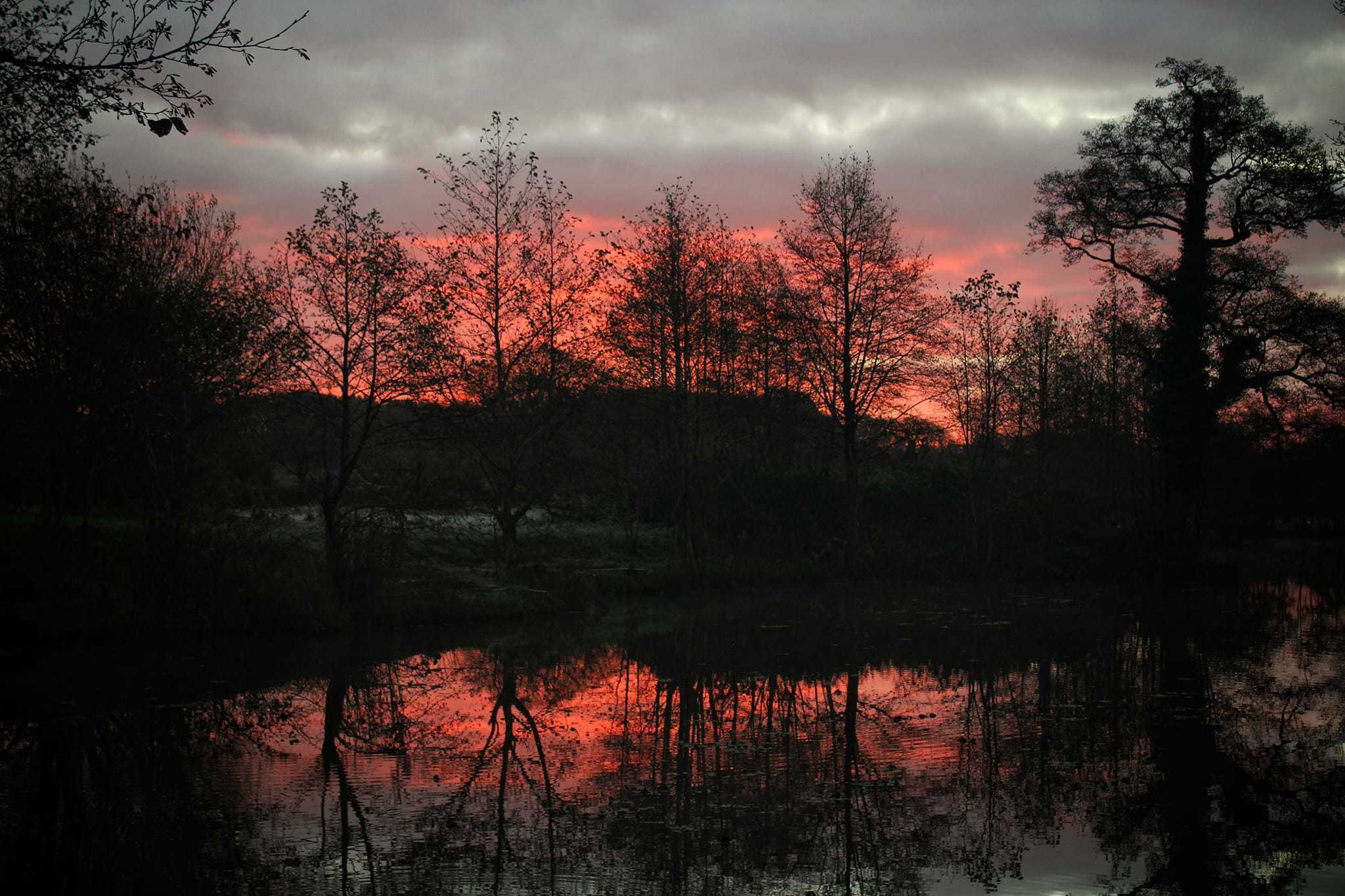 Clatterbridge sunrise by Phil Ish