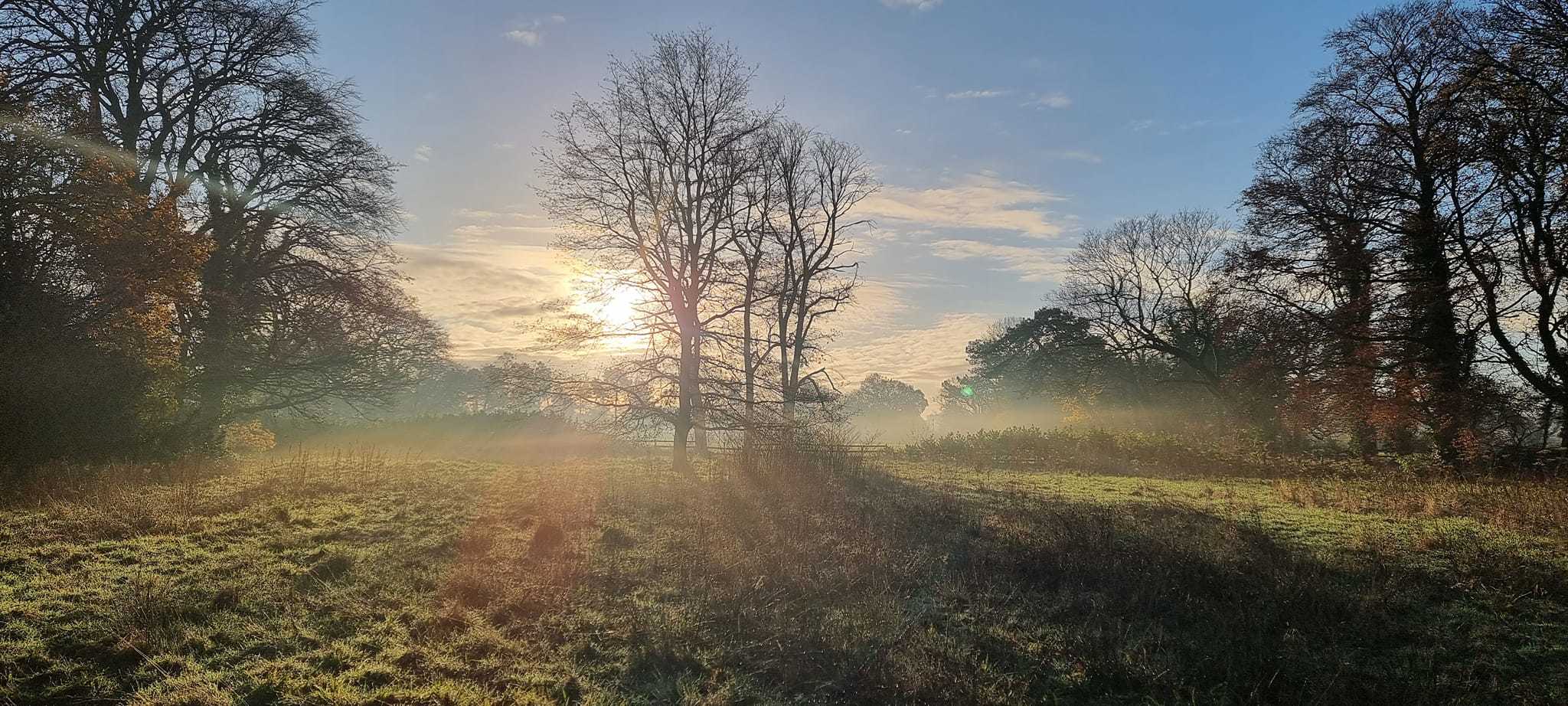 Morning mist at Thornton Manor by Luke Agnew