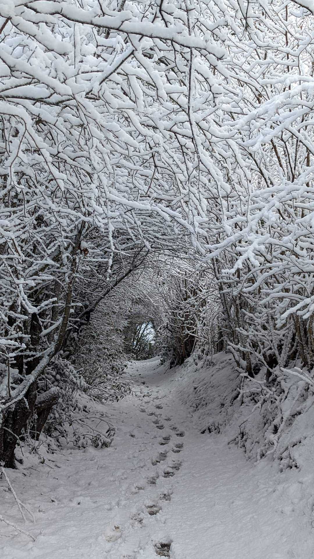 Heswall in the snow by Azalea ORourke