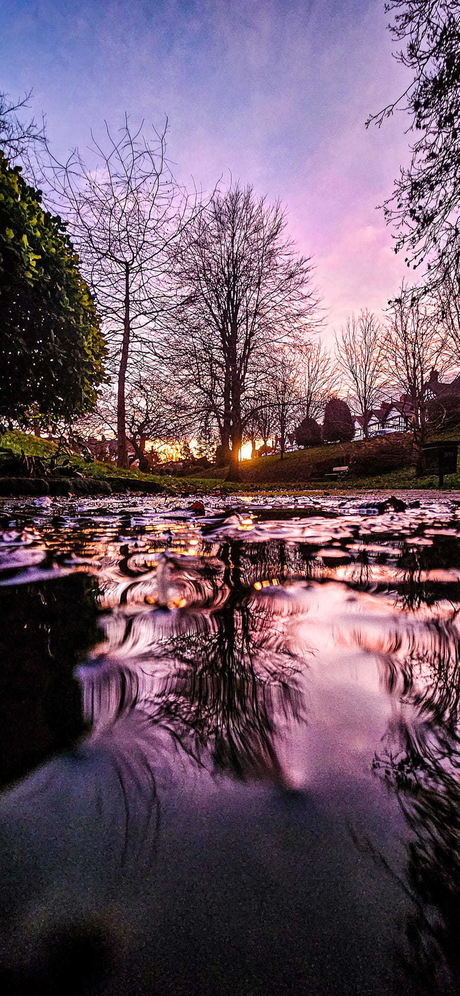 Purple sky at The Dell, Port Sunlight by Nicola Jayne