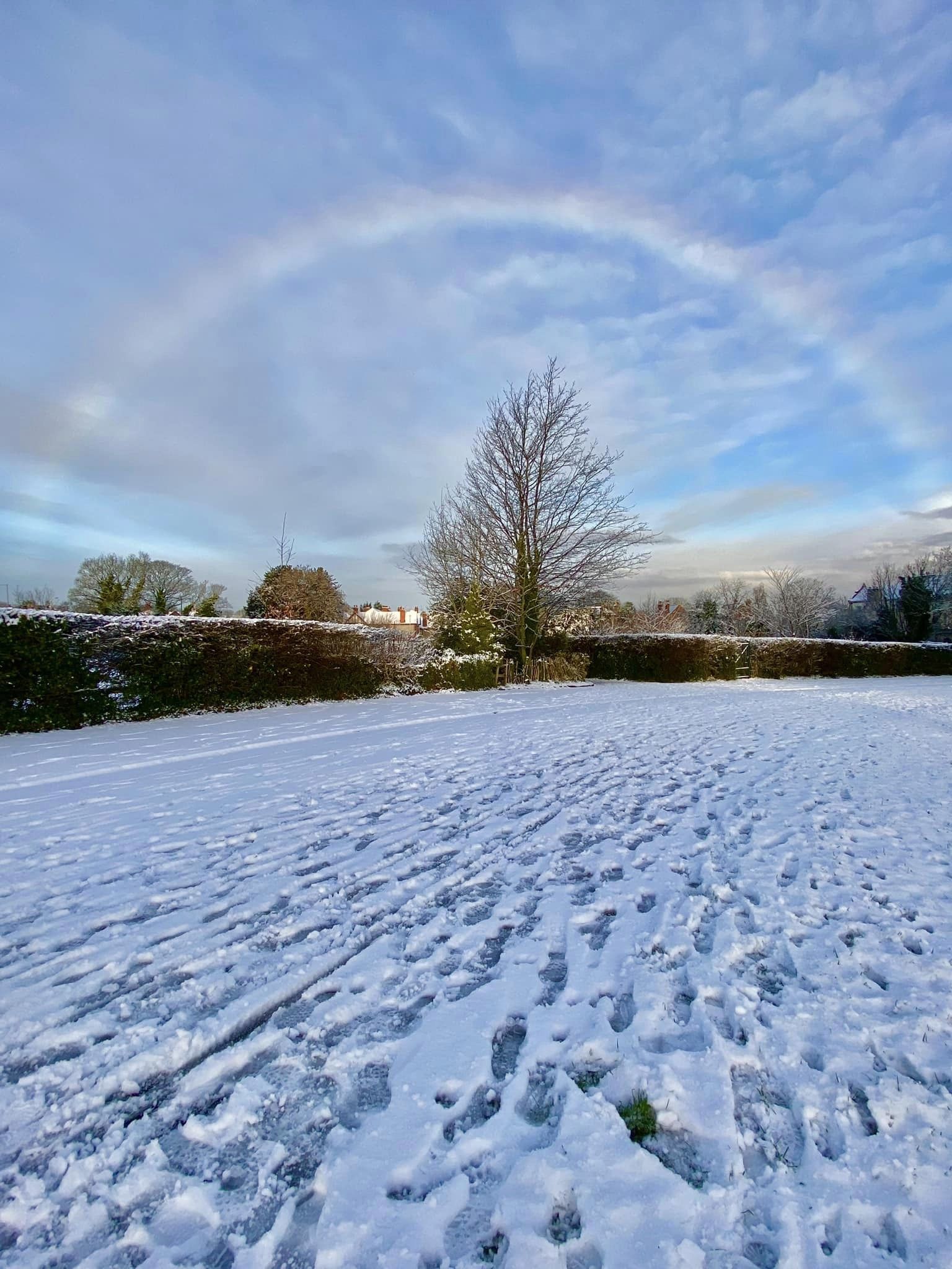 A snowbow in Birkenhead Park by Beryl Cooke