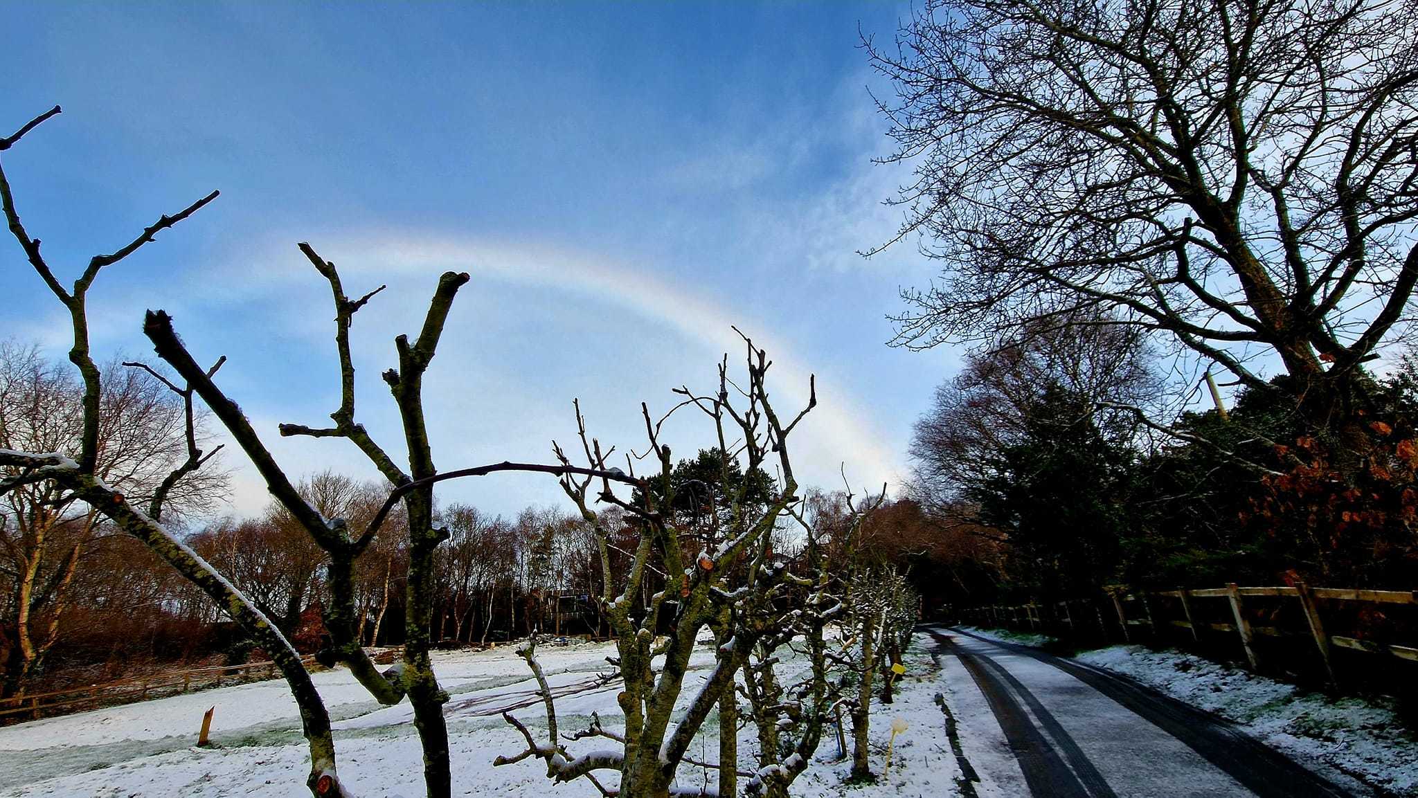 A snowbow in Heswall by Terri Tarrant Hightopp Clayton