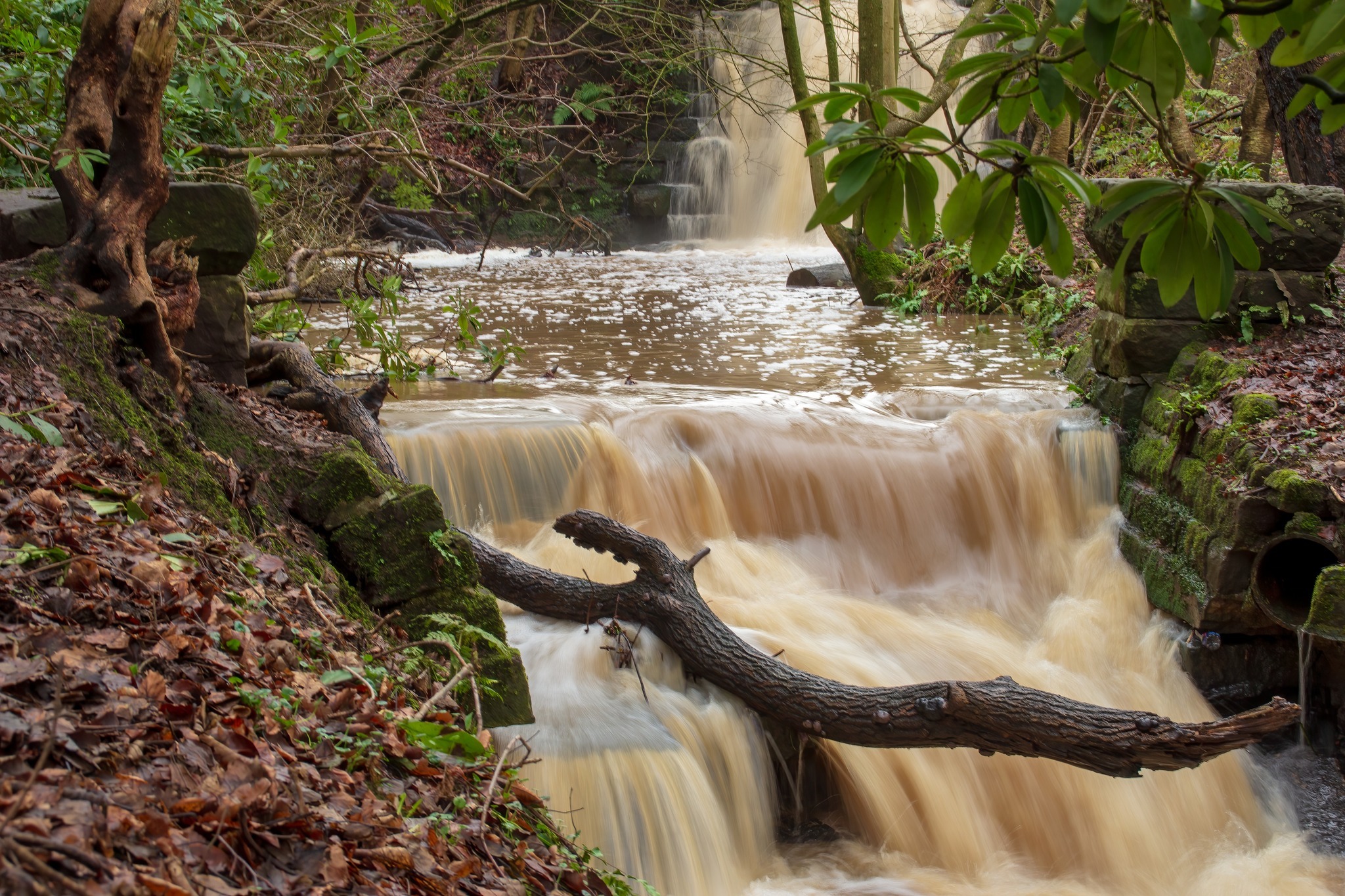 Arrowe Park waterfall by David Mansell