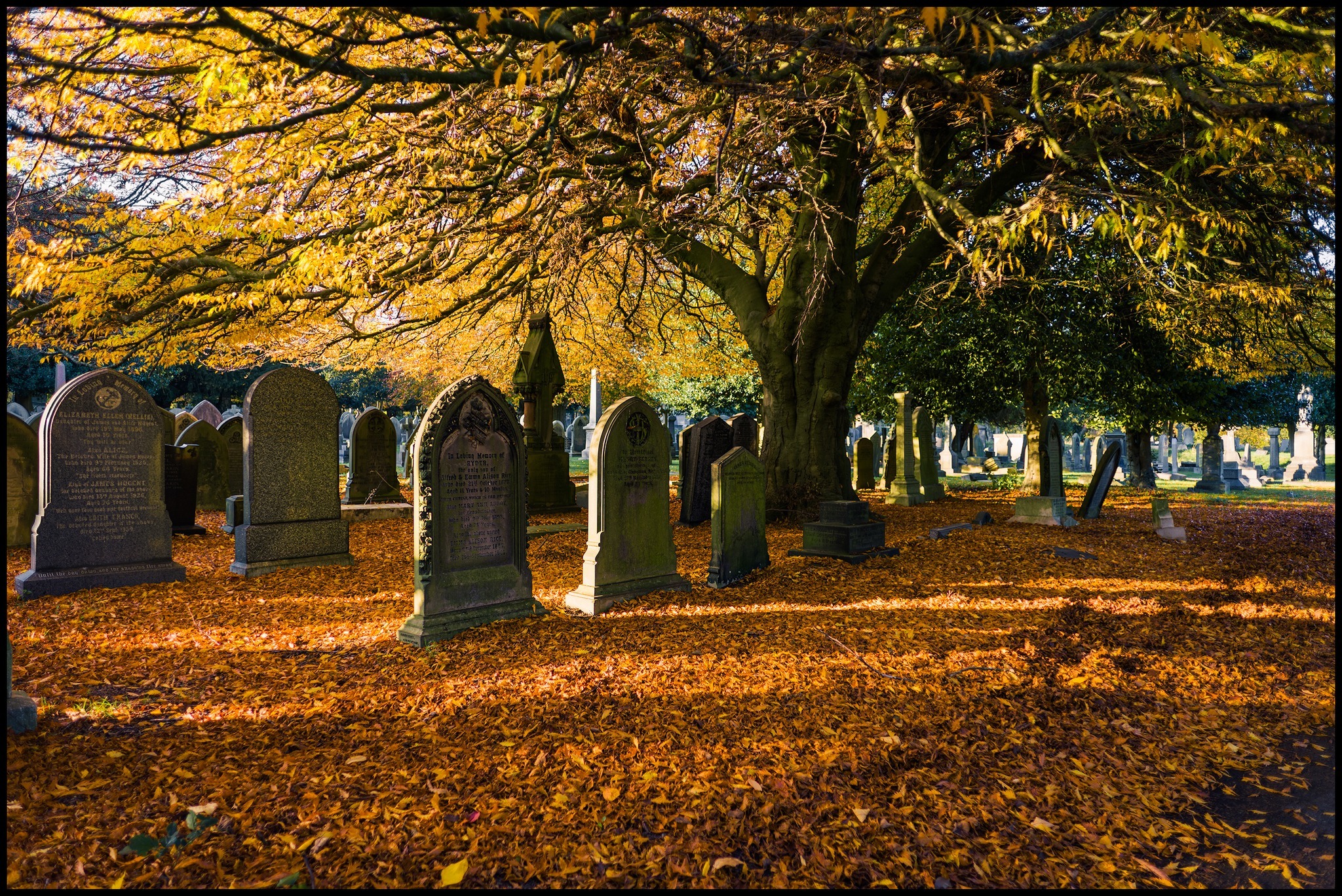 Flaybrick Hill Cemetery by Dave Guy