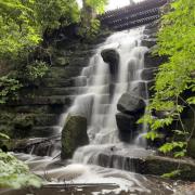The waterfall at Arrowe Park