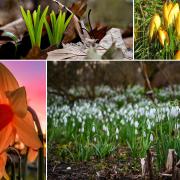 15 perfect pictures showing spring has sprung in Wirral