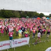 Race For Life preparation in Birkenhead Park last year