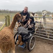 Wirral man sets up Alpaca farm after his life 'changed forever'