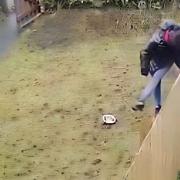 CCTV footage showed Mathew Murray shouting at and kicking out at the dog, called Bella, in the garden of a property in Ashfield Crescent in Bromborough on Boxing Day last year, prompting concerned calls to the RSPCA