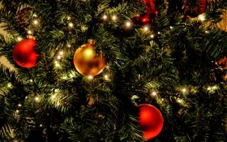 Five places to get a real Christmas tree in Cheshire (Canva)