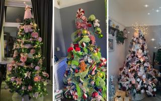 Christmas trees from Globe readers