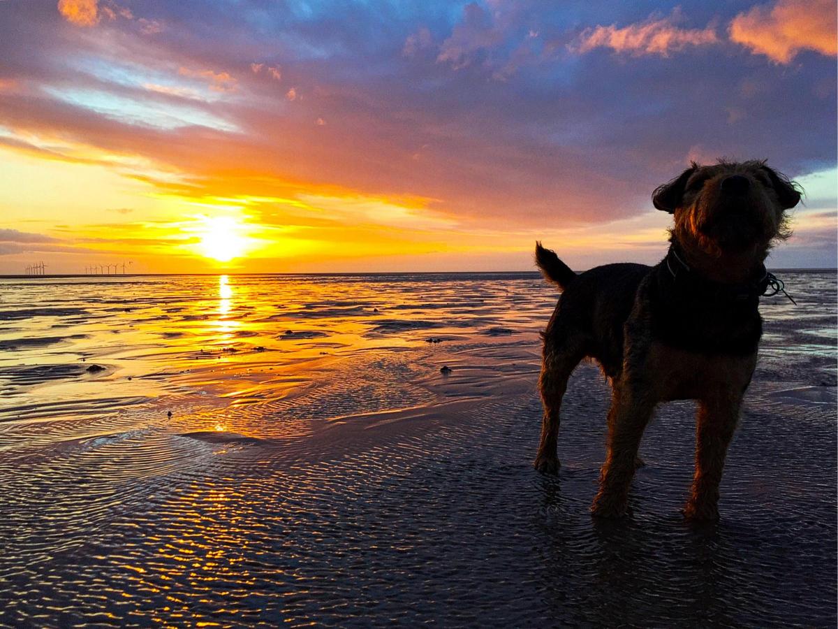 Reader Sean Astbury took this sunset picture on New Brighton beach