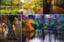 Amazing autumnal vibes caught on camera in Wirral's parks