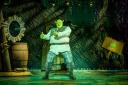 Shrek is played by stalwart musical star Anthony Lawrence, who gives his character real sensitivity