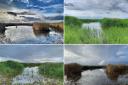 RSPB Burton Mere wetlands through the seasons