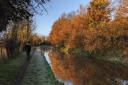 Autumn colours on the Trent and Mersey canal