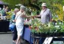 Spring Plant Fair returns to Neston