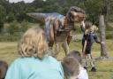 Teach Rex at Knowsley Safari