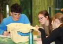 Knowsley Safari gives students opportunity to work with animals during careers week