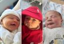 Lillemor Williams, Carson-Ryan Hazlehurst and Evelyn Florence Janet Creedon were all born in Wirral in April