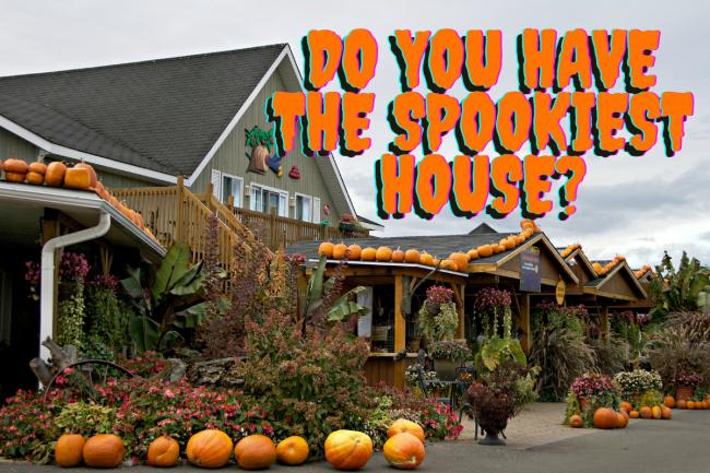 Have you got the spookiest house in Wirral? Send us pictures of your Halloween decorations