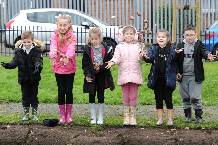 Schools in Wallasey have helped plant more than 1,200 trees
