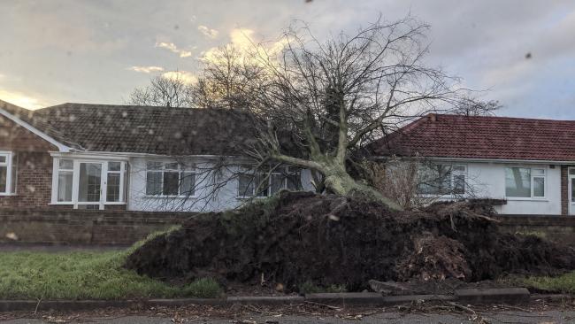 More than 100 incidents reported across Wirral after Storm Arwen