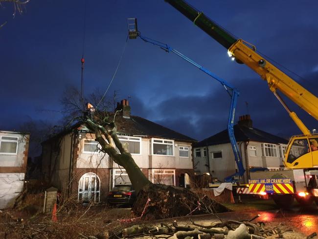 A team works to remove the tree from the house on Allport Road in Bromborough. Photo: Richard Garnett