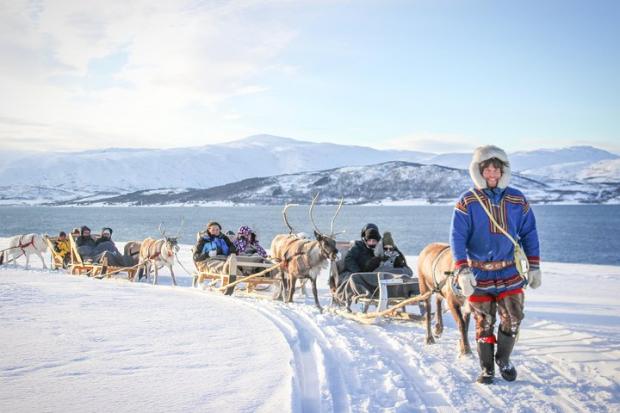 Wirral Globe: Reindeer Sledding Experience and Sami Culture Tour from Tromso - Tromso, Norway. Credit: TripAdvisor