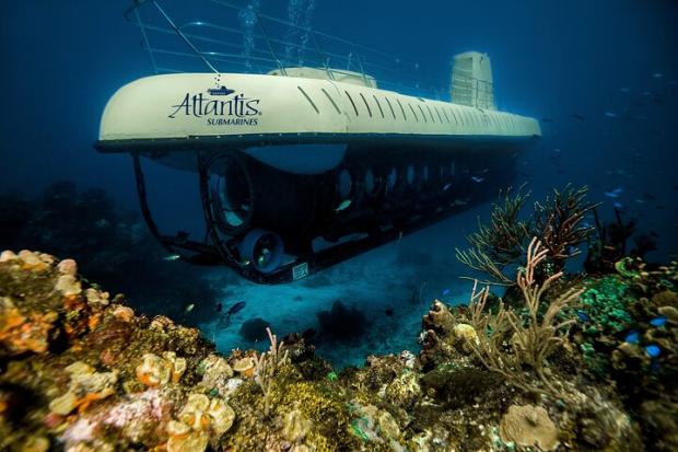 Wirral Globe:  Atlantis Submarine Expedition in Cozumel - Cozumel, Mexico. Credit: TripAdvisor